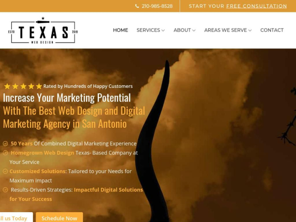 texaswebdesign.com